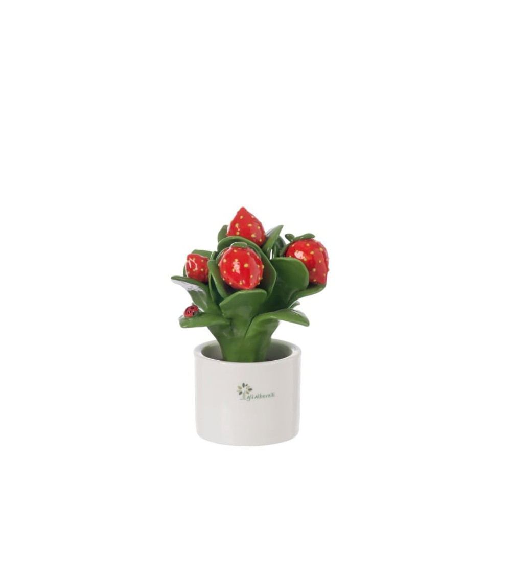 PIANTINA FRAGOLA